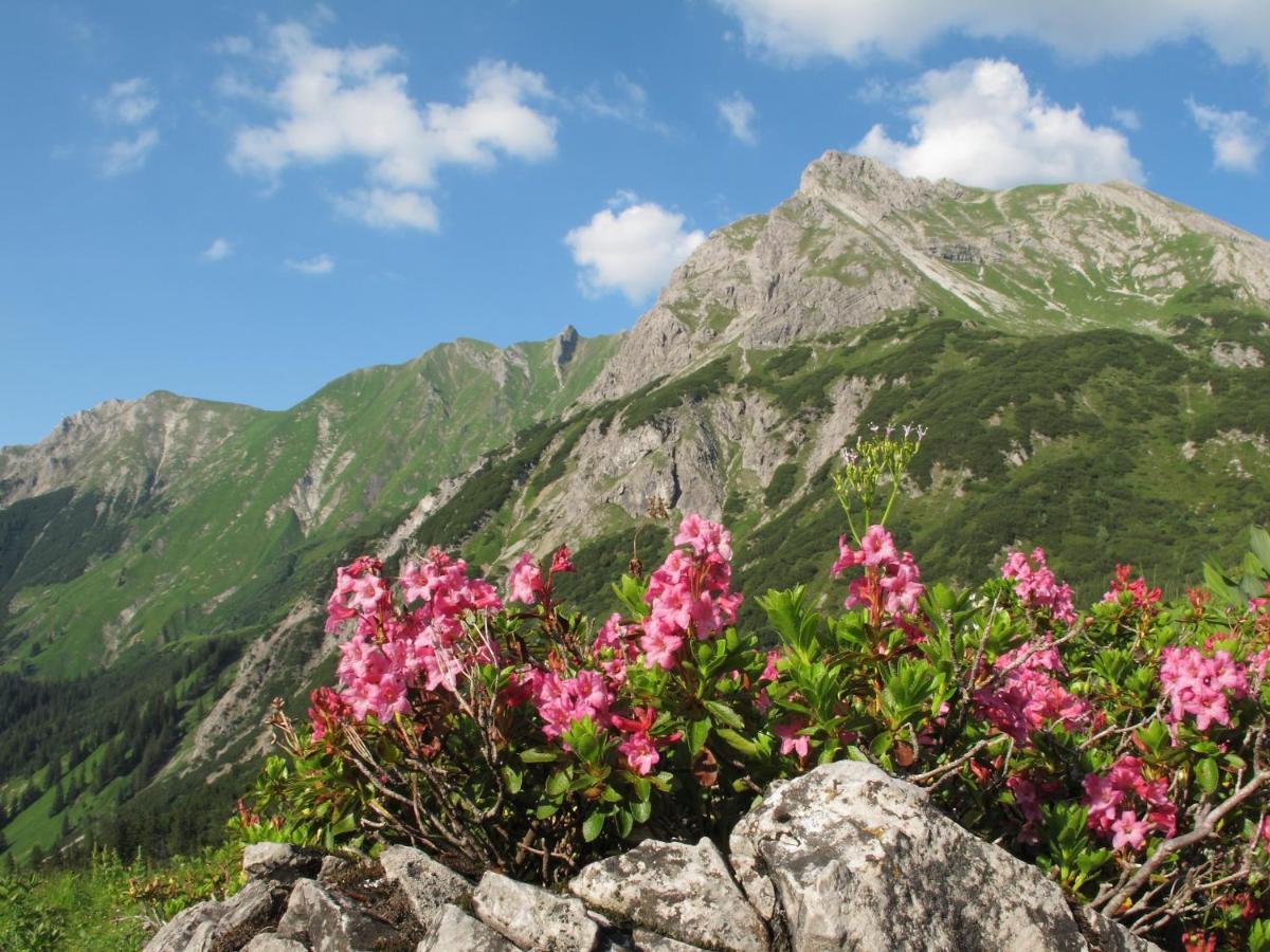 Altachhof Und - Jokercard Im Sommer Inklusive Hotel